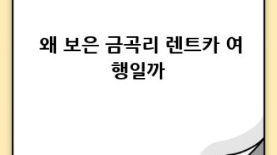 🚗 슝~ 떠나요! 보은 렌트카 여행 & 보험 꿀팁 대방출! 🍯